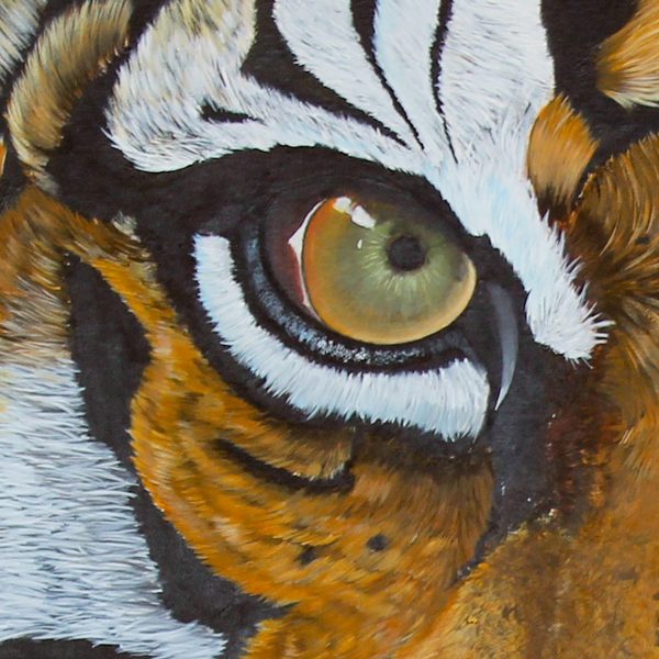 Detail of The Tiger: one eye and the fur around it, painted by hand