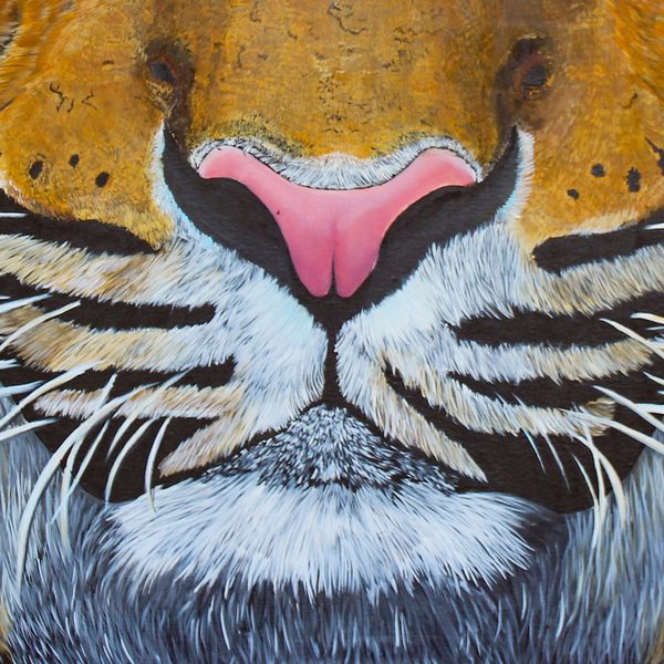 Detail of The Tiger: nose and whiskers, painted by hand