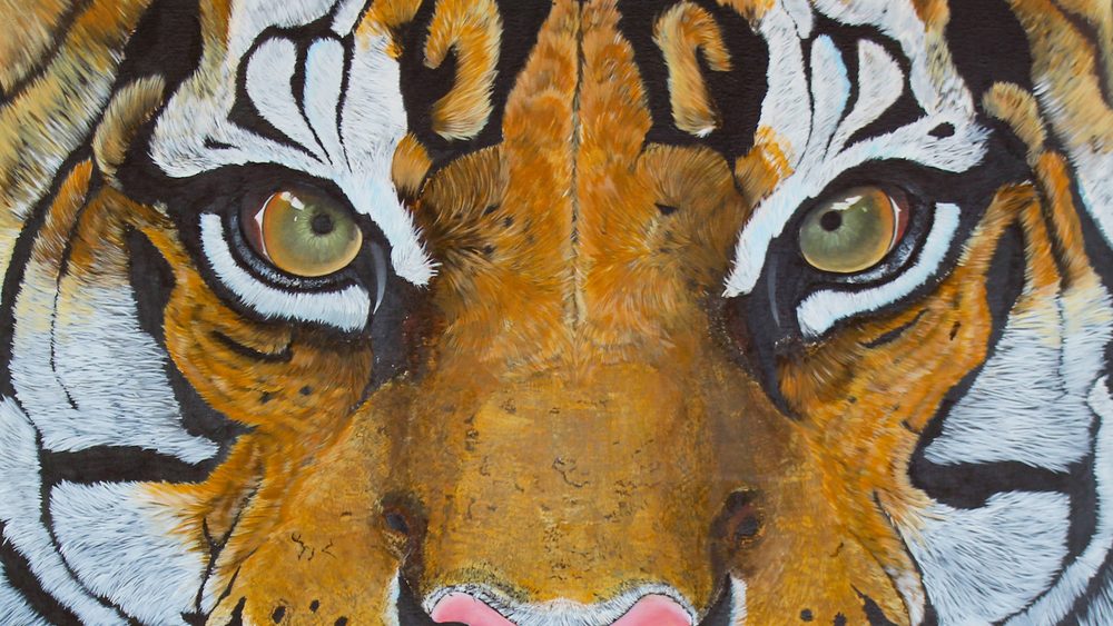 The tiger painting as a desktop wallpaper, one of the files in the bundle